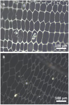 What Can Charcoal Reflectance Tell Us About Energy Release in Wildfires and the Properties of Pyrogenic Carbon?